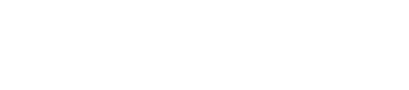 Recambios roport logo